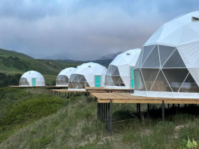 Tenir-Too Glamping